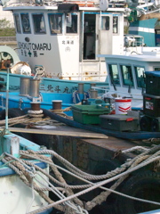 R4197443