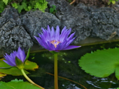 R9233058_2