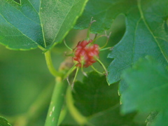 R5077773