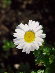 R3061396