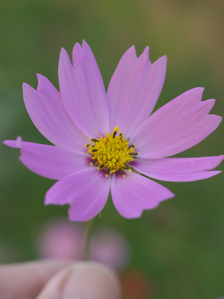 PB045634