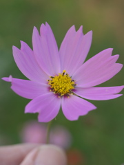 PB045634