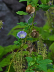 R9232996_2