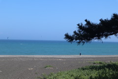 B9FA7A2E-E4FD-4BF5-8E5A-362036599264