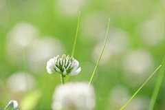 写真を撮りたい・・・。