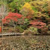 森林植物園にて、その三・・・。
