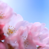 近所の公園にて・・・。
