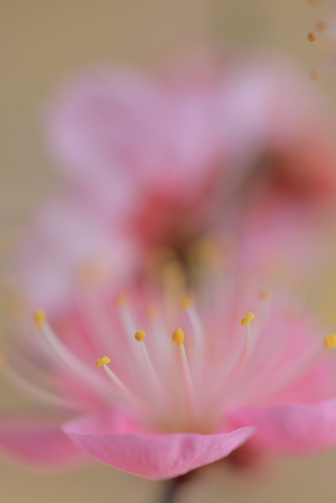 宝物探し・・・。
