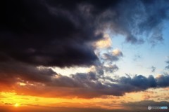 雨上がり、お天道様からの贈り物…。