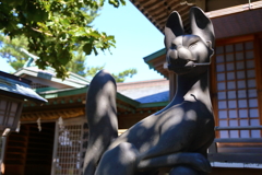 高山稲荷神社その4