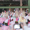 阿波おどり