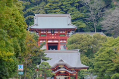 新緑