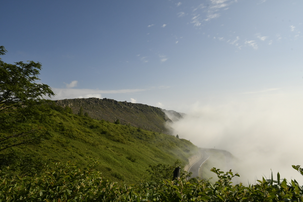 _DSC0162