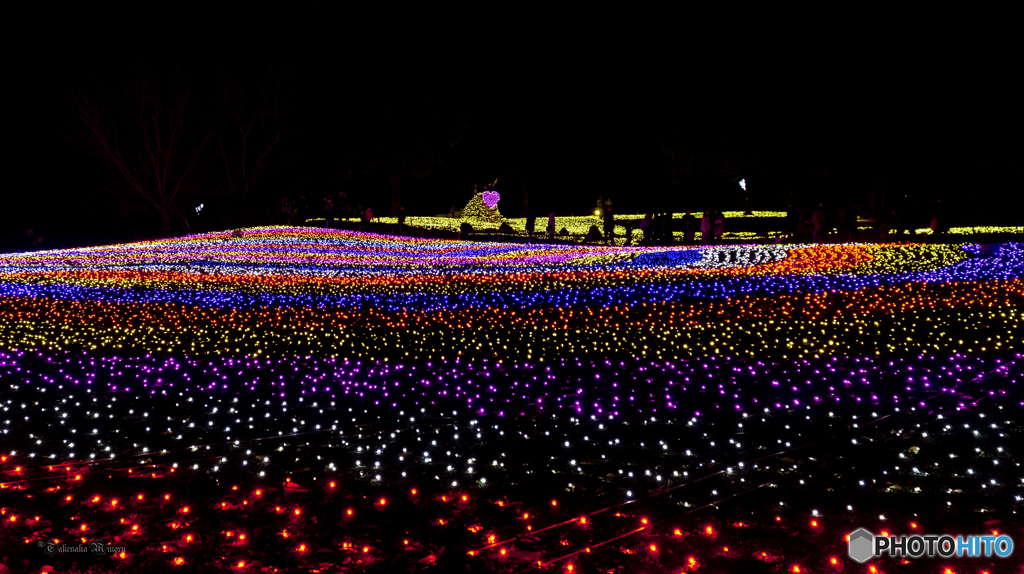 イルミネーション　木曽川 park2