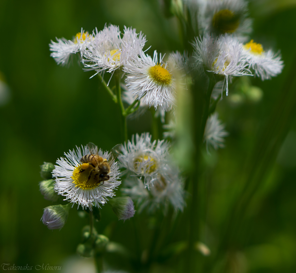 _DSC1921