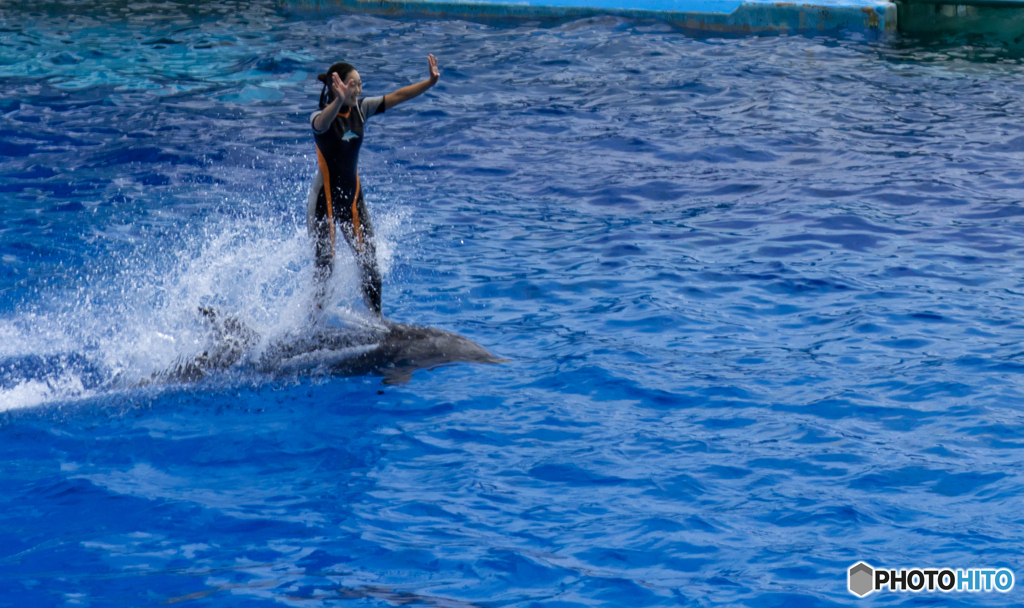EOS 7D Mark II_0811名古屋港水族館
