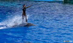 EOS 7D Mark II_0811名古屋港水族館