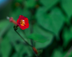 DSC04388
