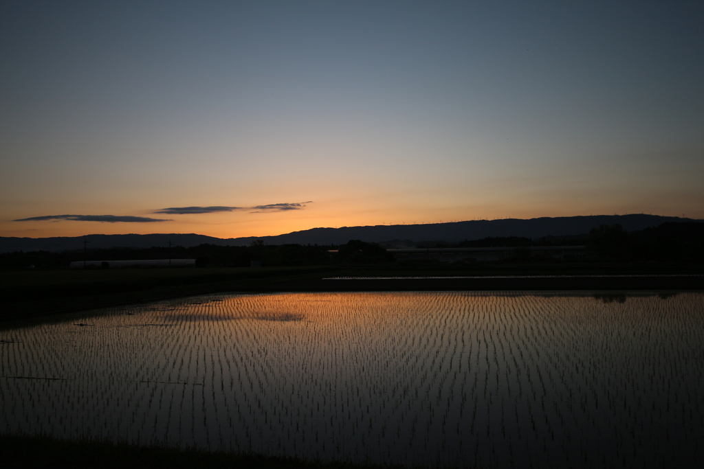 我が町のウインドファーム  夕焼け
