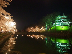 高田城:夜桜