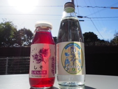 石神さんに行く道で