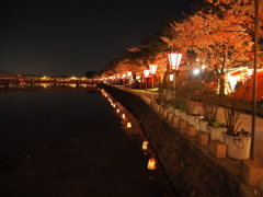 高田城:夜桜