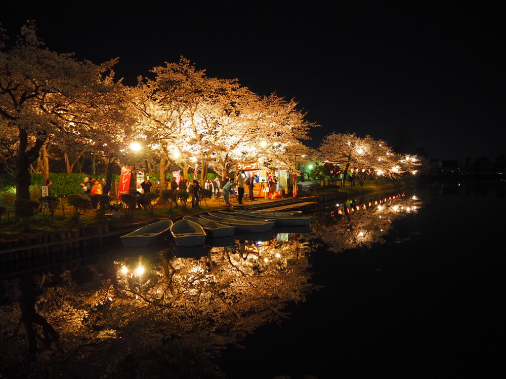 高田城:夜桜