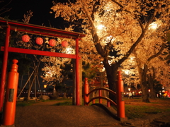 高田城:夜桜