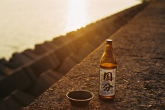 鹿児島湾