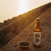 鹿児島湾