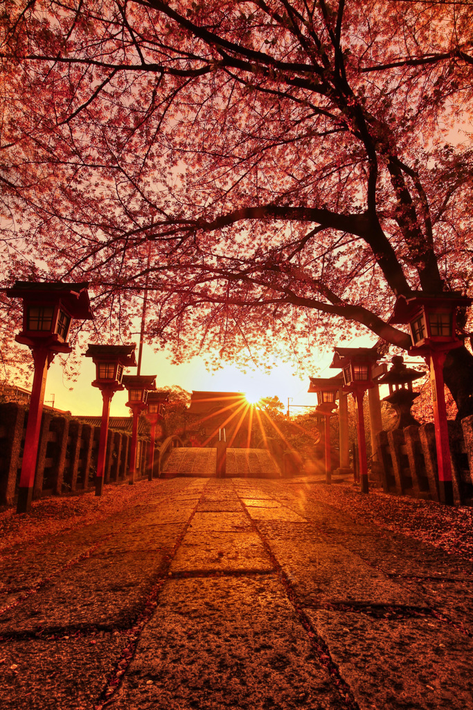 六孫王神社の夕日