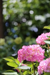 IMG_20160601_174115