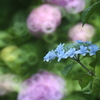 20160620105528_IMG_7905