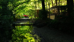 新緑川