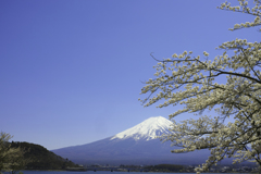 富士山と河口湖
