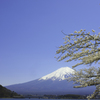 富士山と河口湖