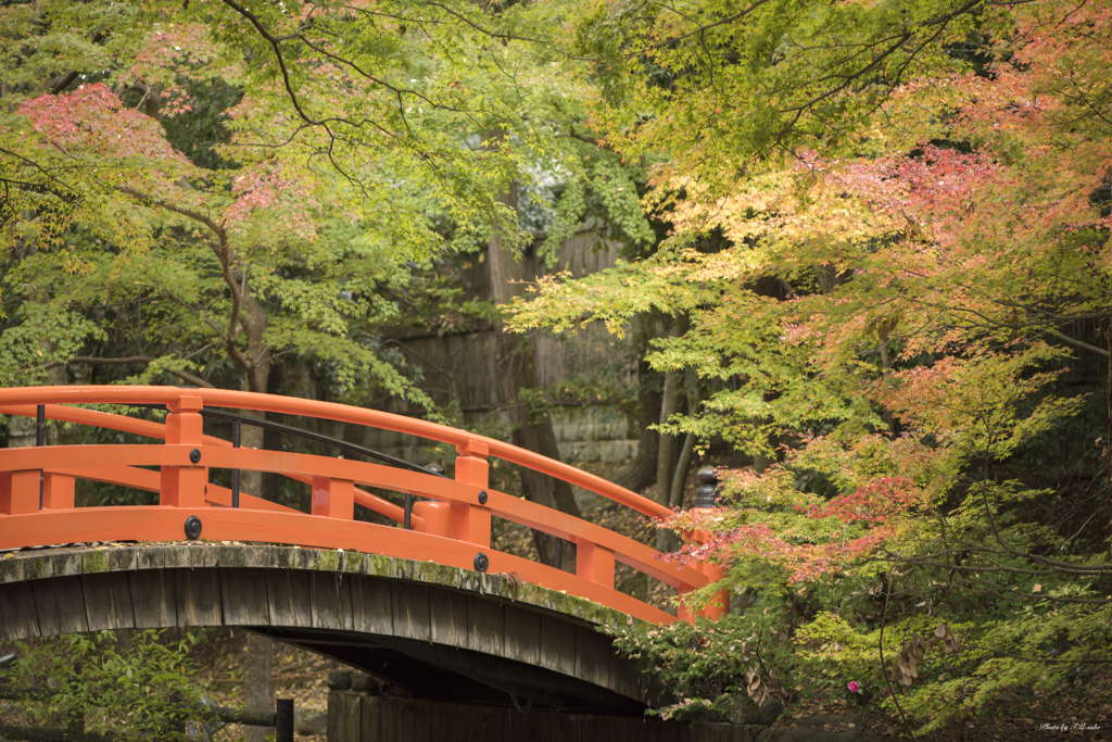 京都　北野天満宮