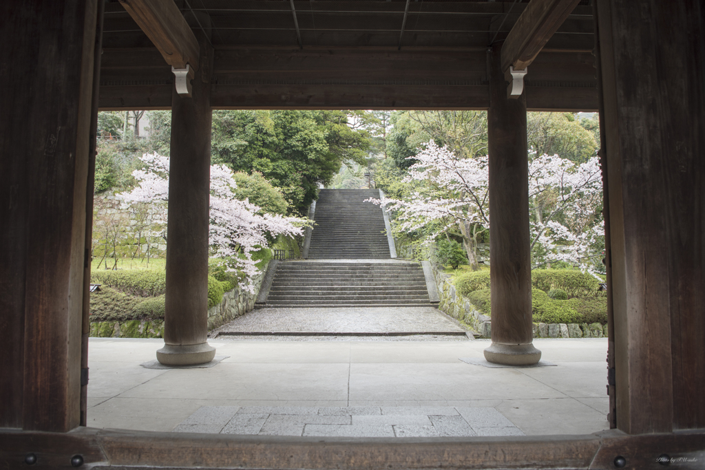 京都　知恩院　三門