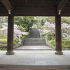 京都　知恩院　三門