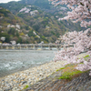 京都　嵐山　渡月橋