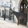 ロンドン　Horse Guards
