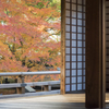 京都　青蓮院