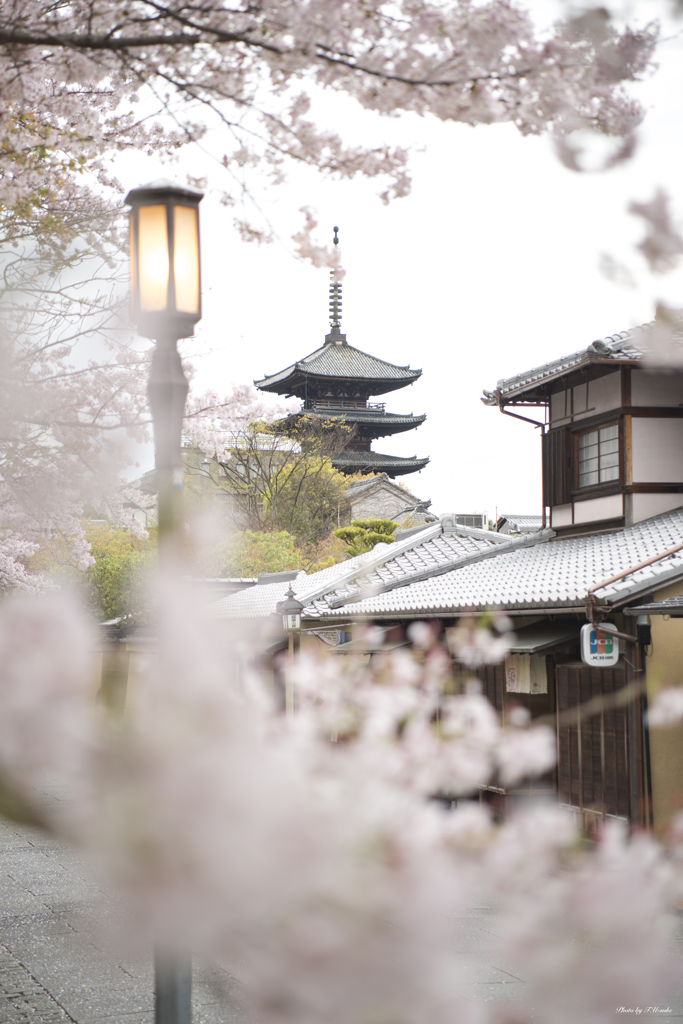 京都　八坂の塔