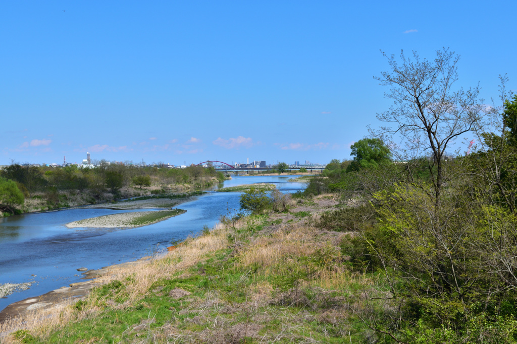 多摩川　(拝島)