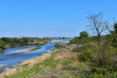 多摩川　(拝島)
