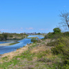 多摩川　(拝島)