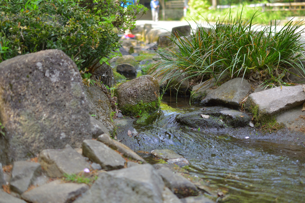 小さな川　(深大寺入口)