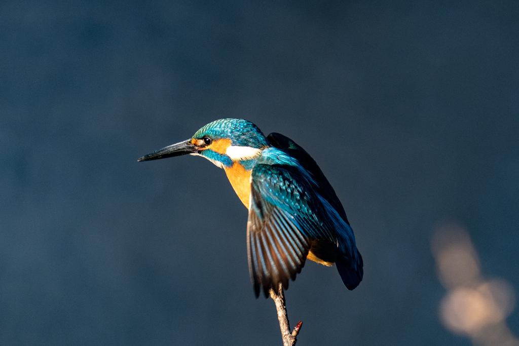 いきそうでいかない