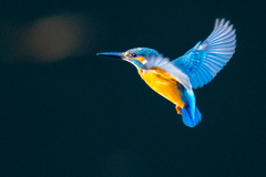 夕日のホバ・肆ノ型