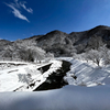 立春の雪景色